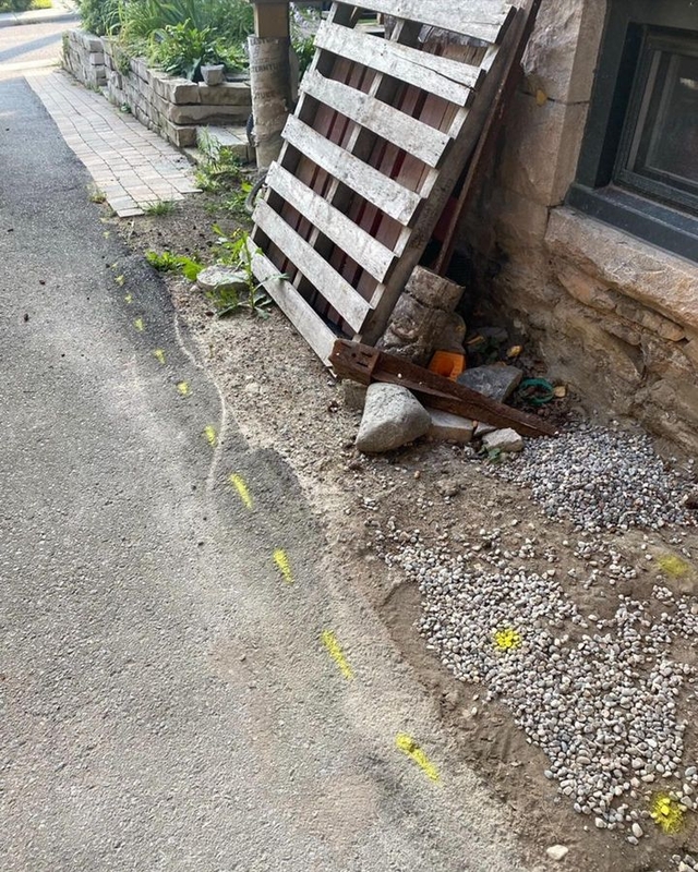 241367293_254673143187137_5865409877698238696_n